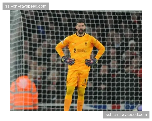 本赛季英超门将扑点成功率排行榜：阿利松以40%的成功率位居榜首